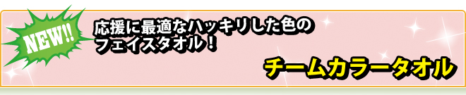 チームカラータオル