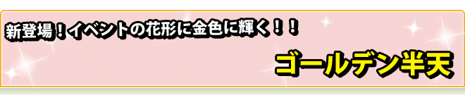 ゴールデン半天
