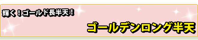 ゴールデンロング半天